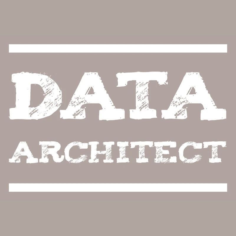 Data Architect Data Engineer IT Developer