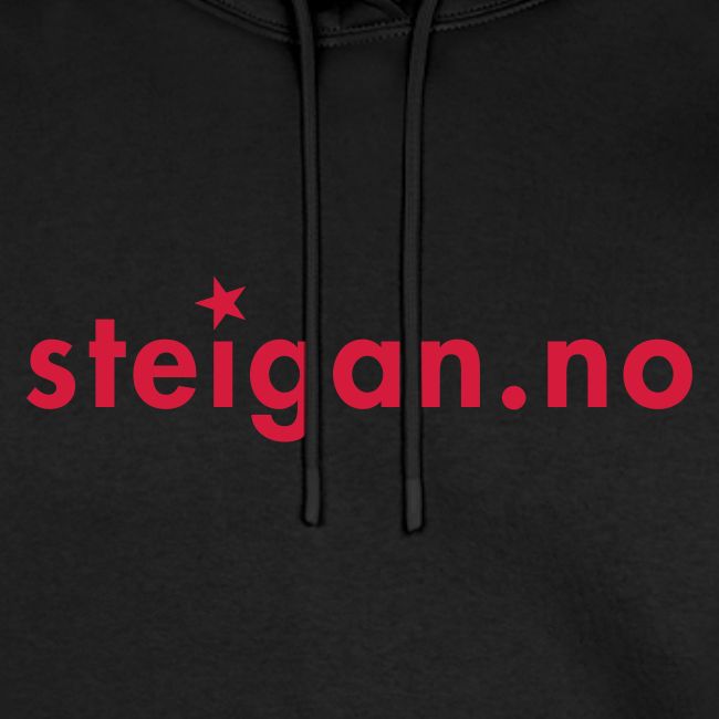 steigan.no logo