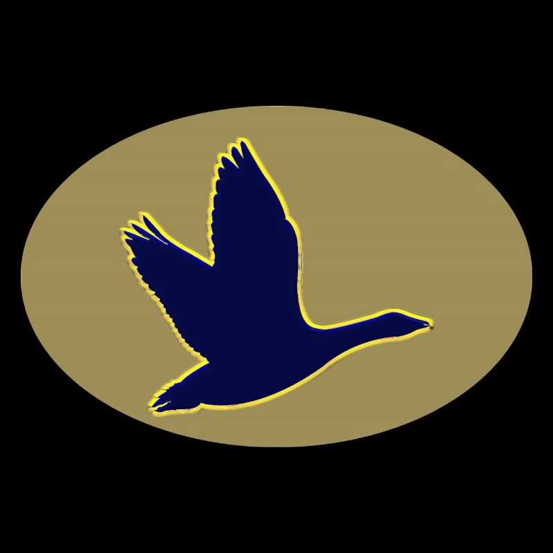 Oiseaux de mer