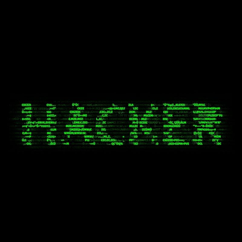 Hacker