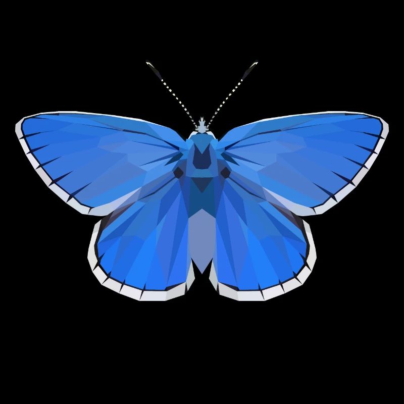 Adonis Blue