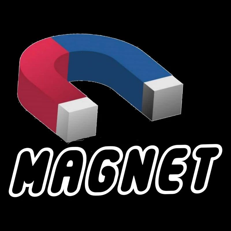 Magnet