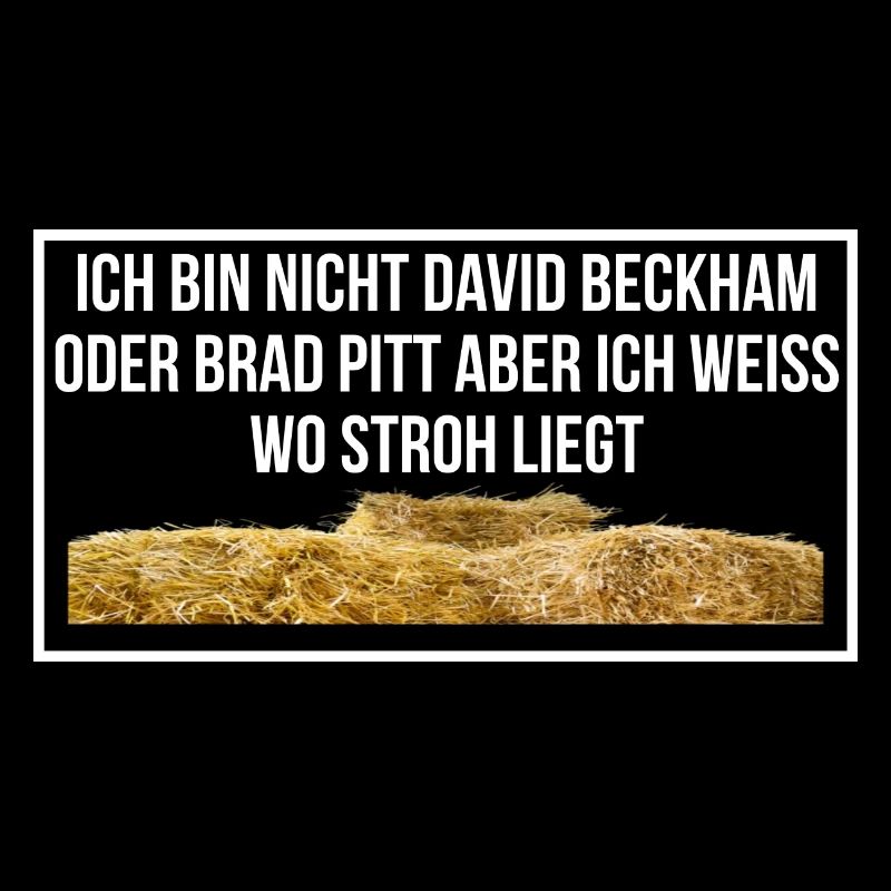 Stroh
