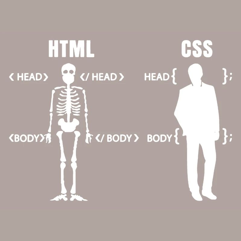 Developer Coder Definition Funny Programmer spell