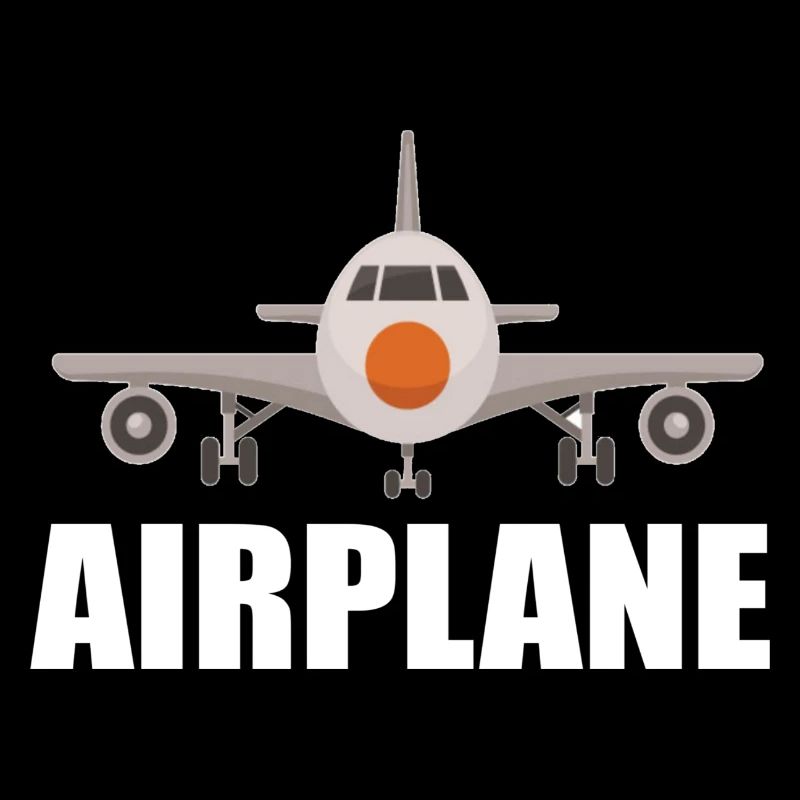 Flugzeug