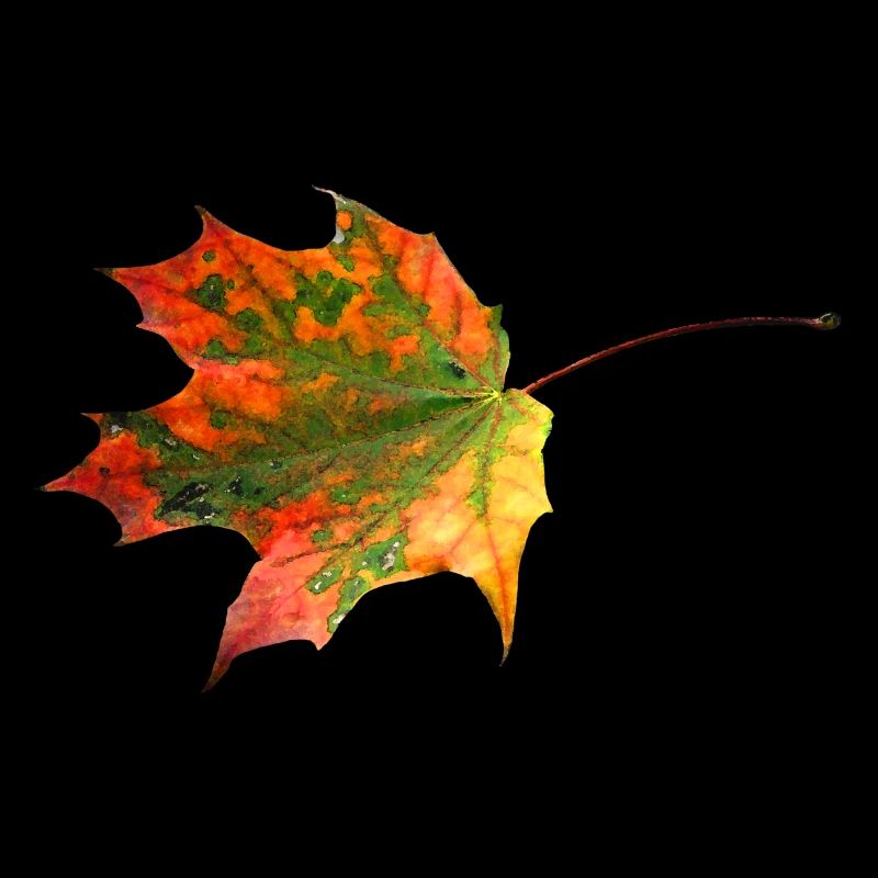 Buntes Blatt
