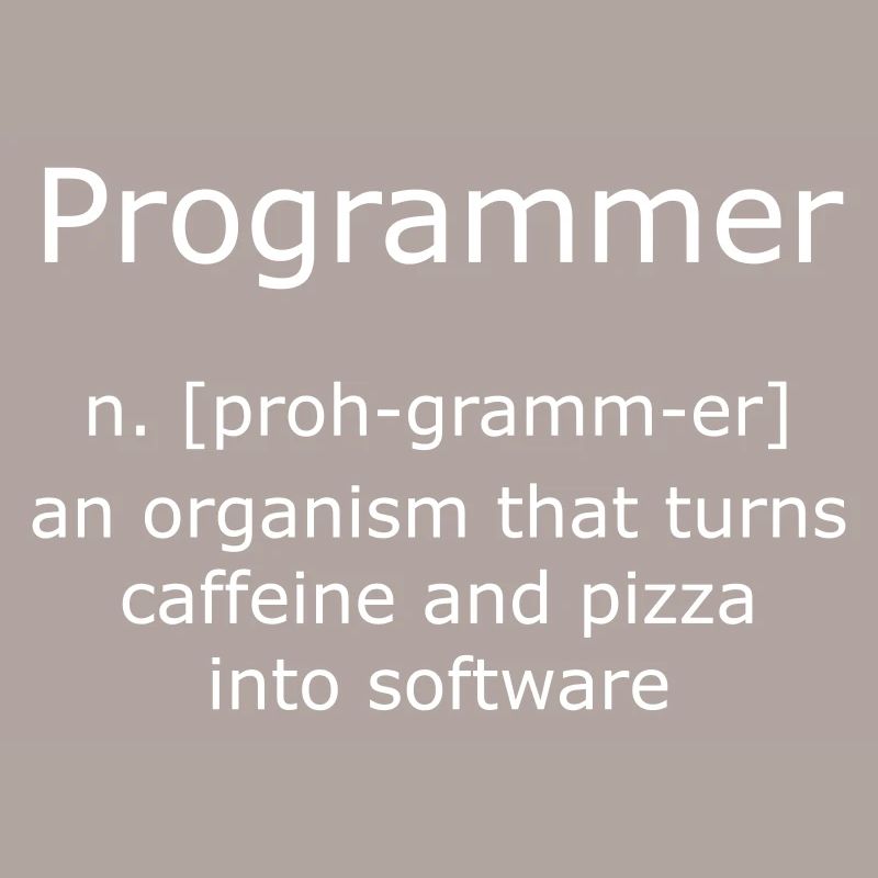Programmer Programmierer