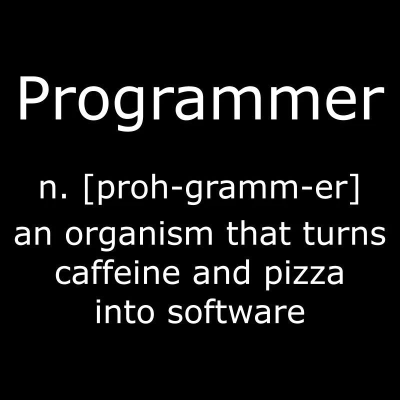 Programmer Programmierer