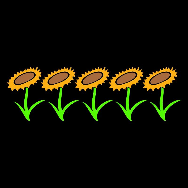 Many Small Sunflowers Sun Five Flowers Row