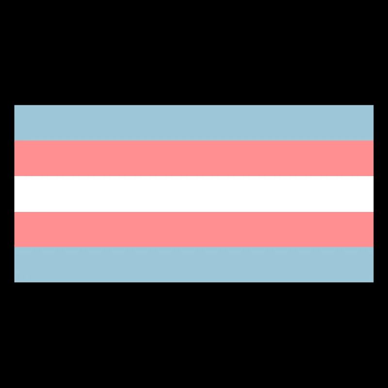 Drapeau trans
