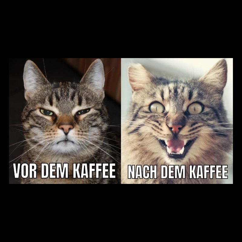 Nach und Vor dem Kaffe