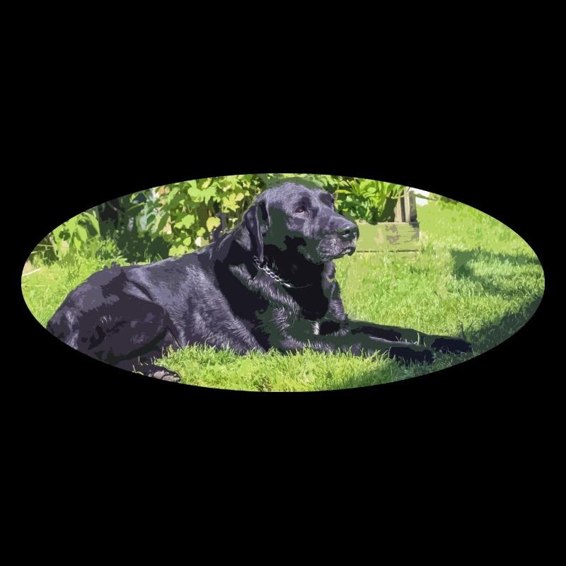 labrador