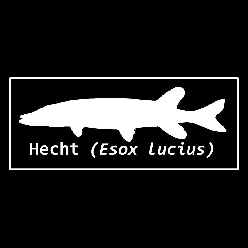 Hecht weiß lateinisch