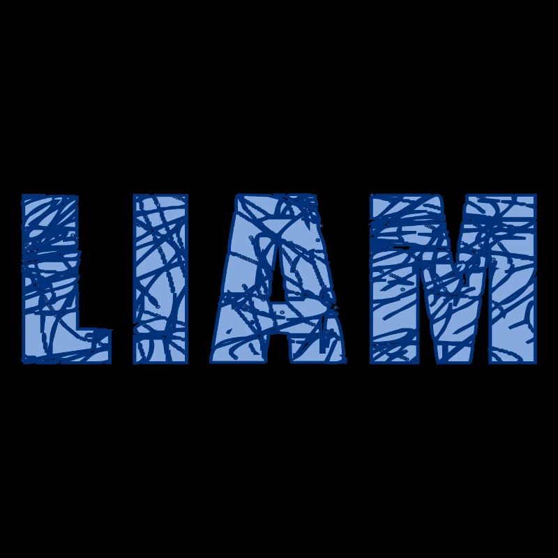 Liam Name