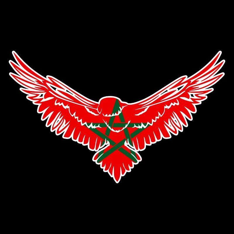 Moroccan flag Morocco Moroccan Star