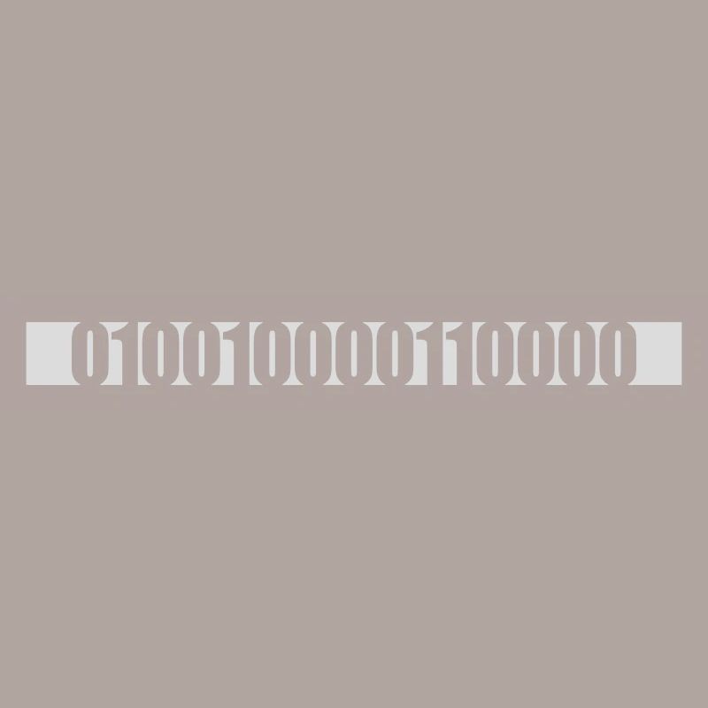 Binary Code Program Language