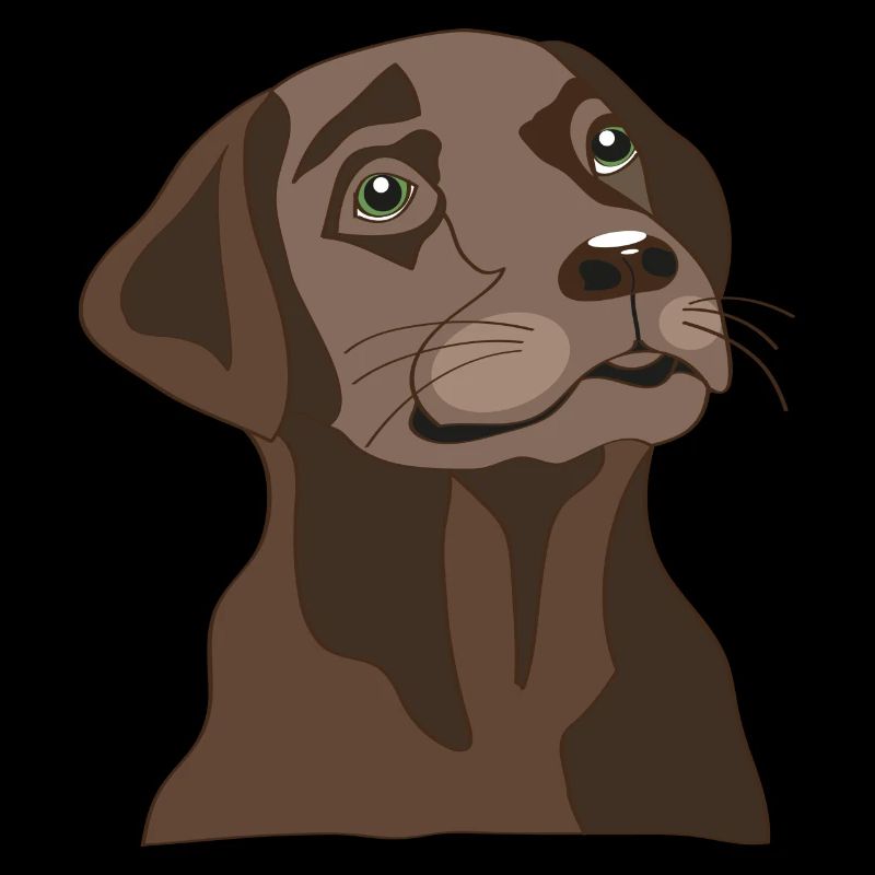 Brauner Labrador