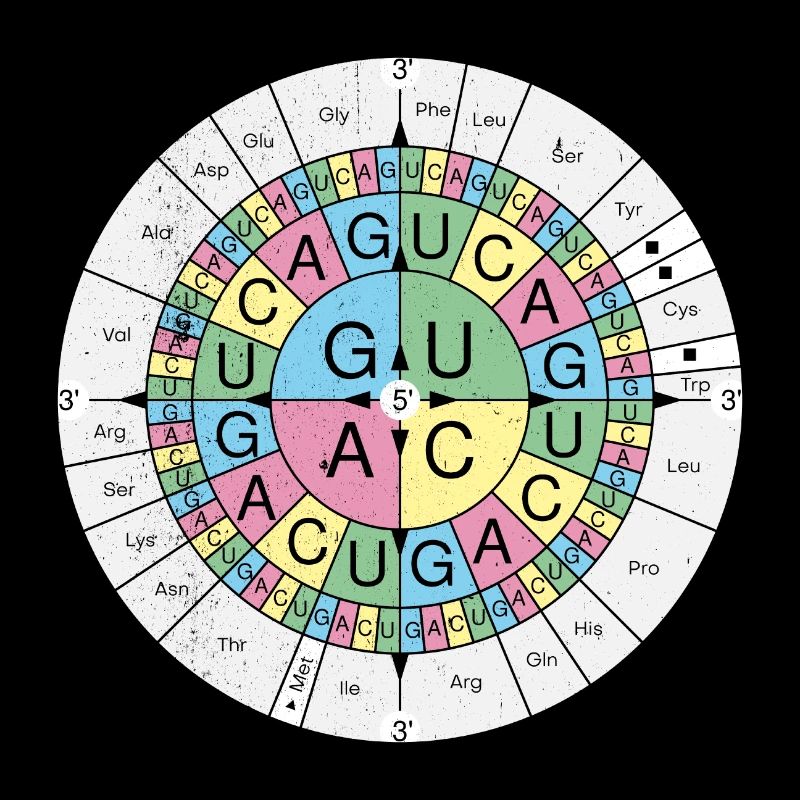 Biochemistry RNA Codon Code Sun Grunge Look