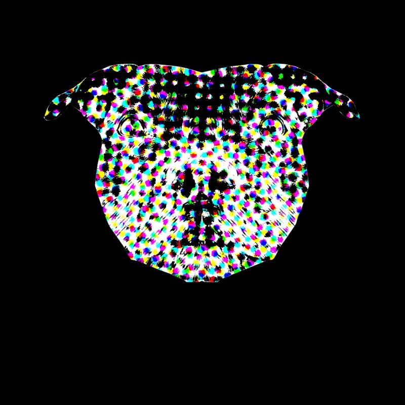 Staffy dog