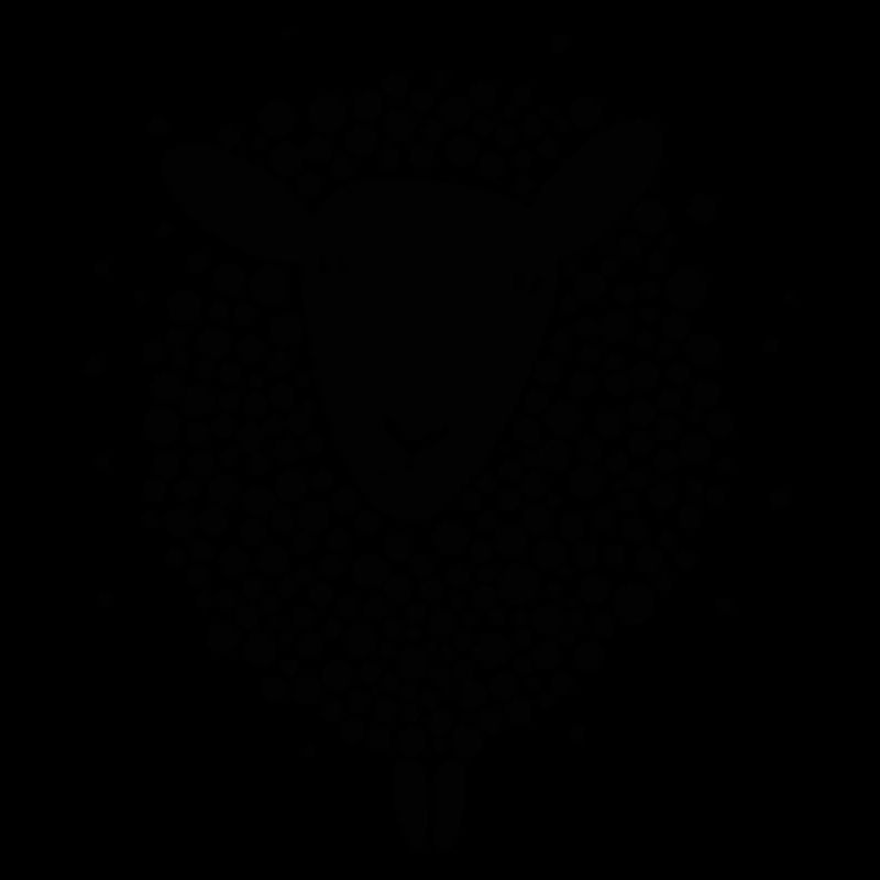 Mouton noir