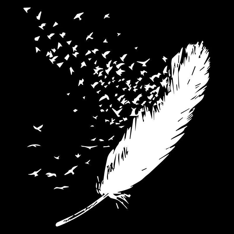 Plume Oiseau Perroquet Hirondelle Perruque