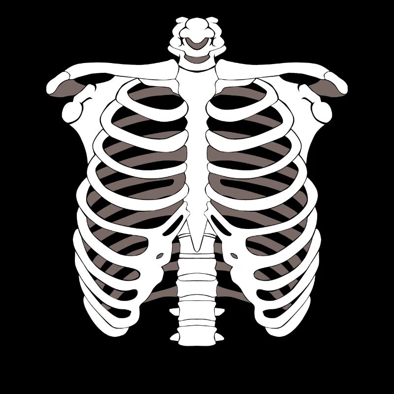 Skeleton skeleton Halloween bone skeleton skeleton