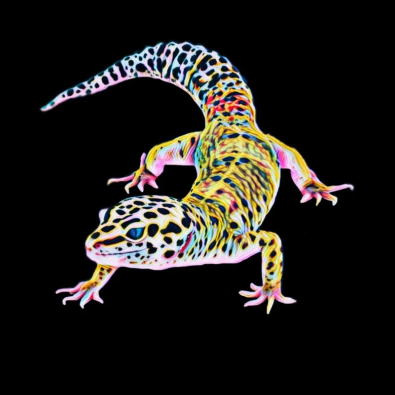 Gecko