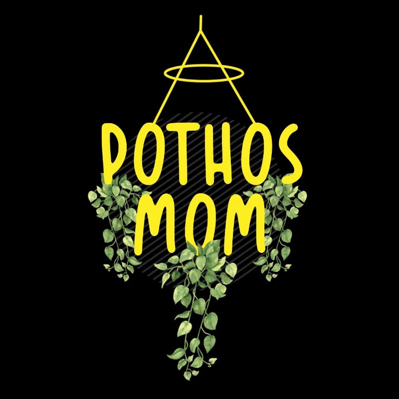 plante, plante de pothos, plantes,