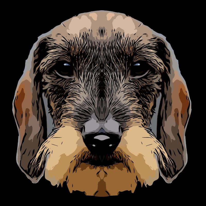 dachshund3 2