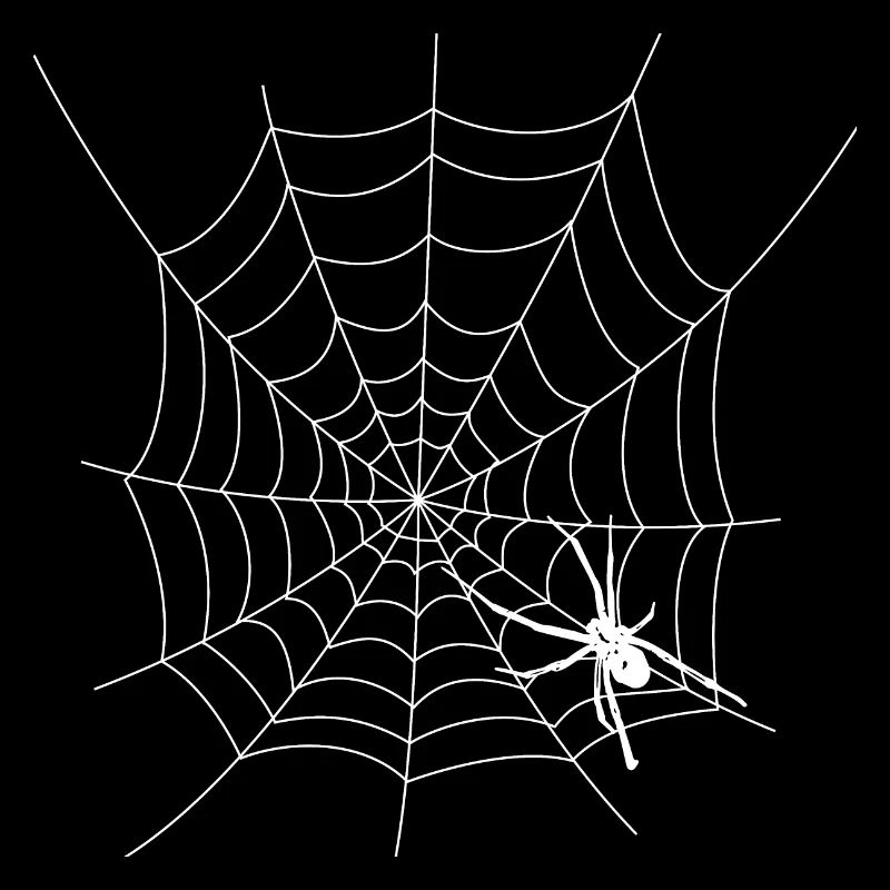 Toile d’araignée d’Halloween avec araignée