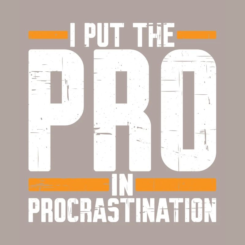 Je mets le pro dans la procrastination 5