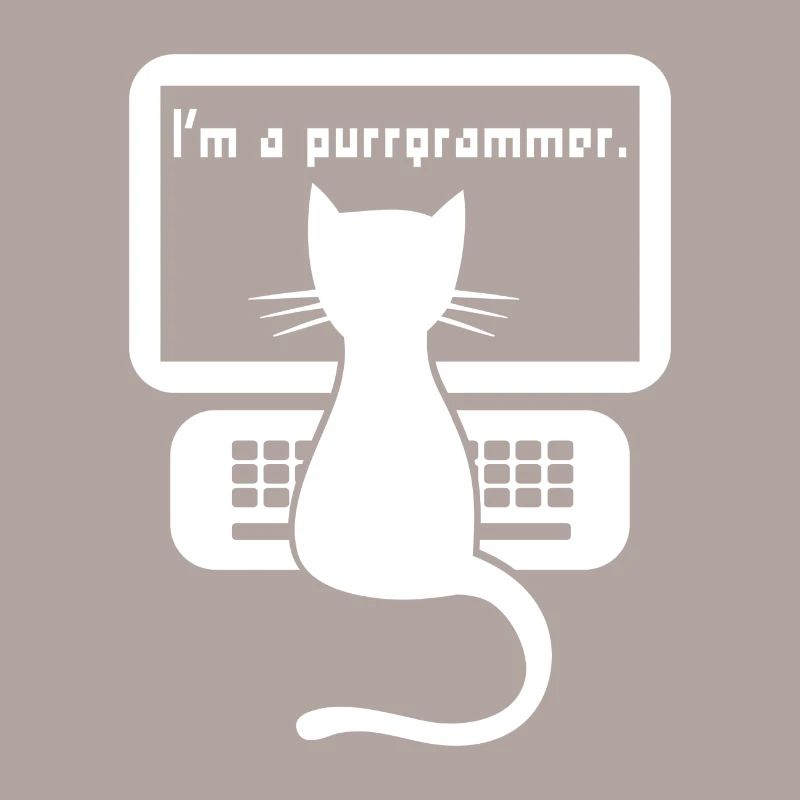 I`ma programmer cat gift