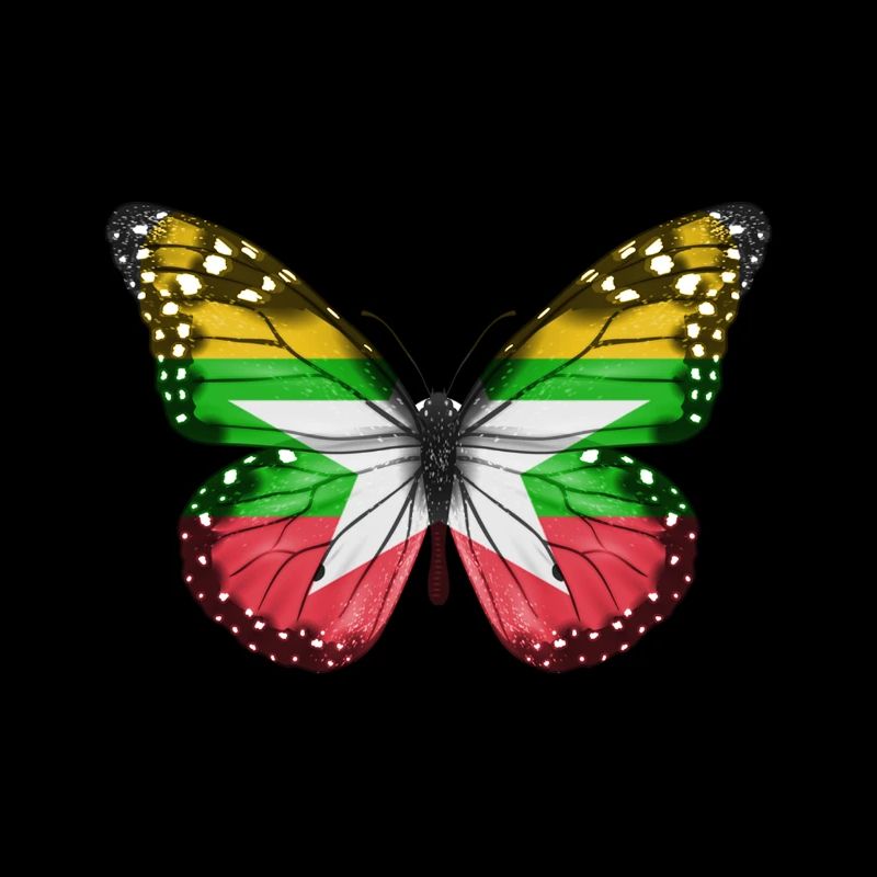 Papillon Drapeau De Myanmar