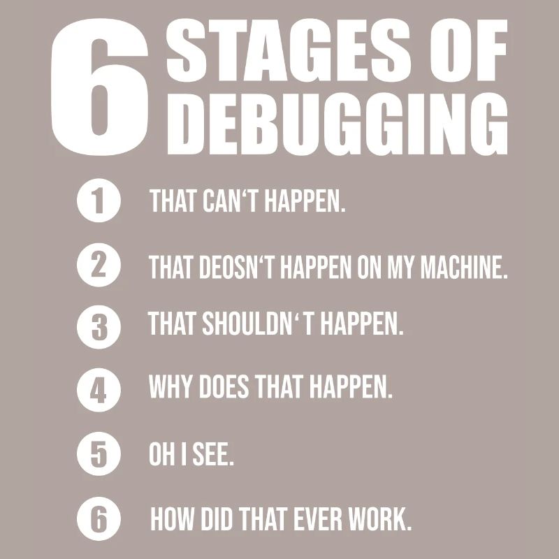 6 stages debugging computer scientist developer coder
