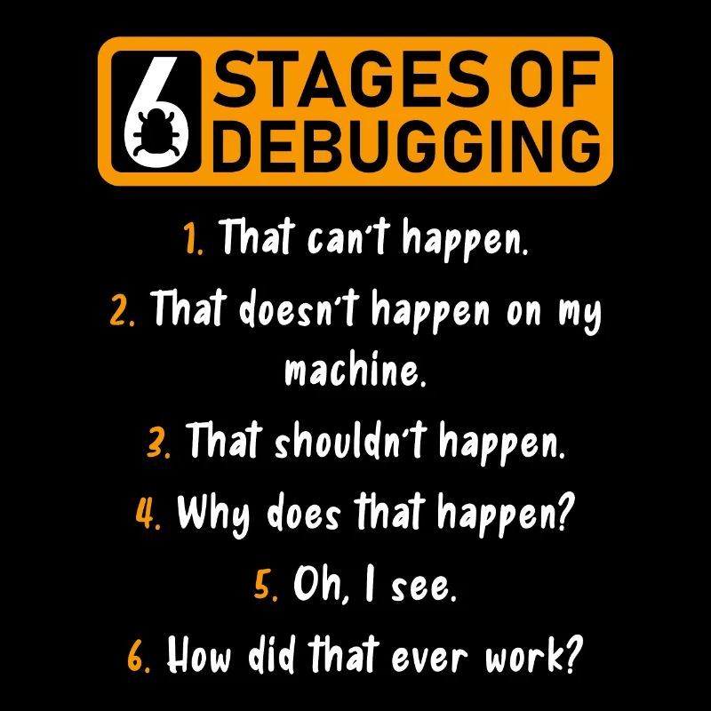 6 Stufen des Debugging Software Entwickler