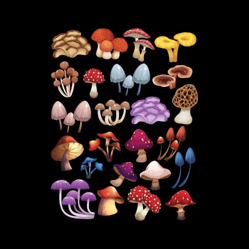 Collection de champignons Cueillette de champignons Cadeau Nature Champignons