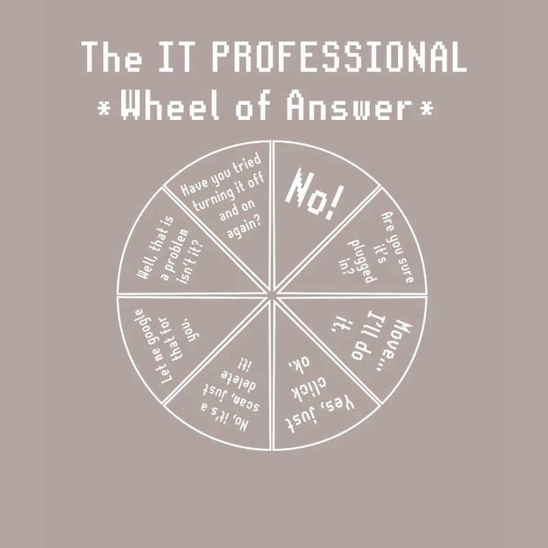 The IT Professional Computer Software Programmer