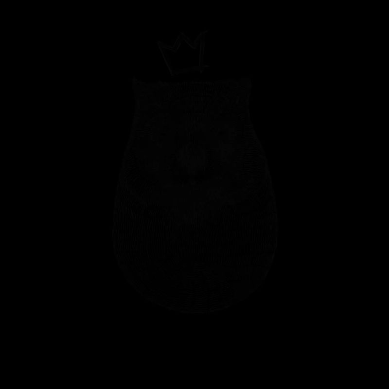 Roi Wombat