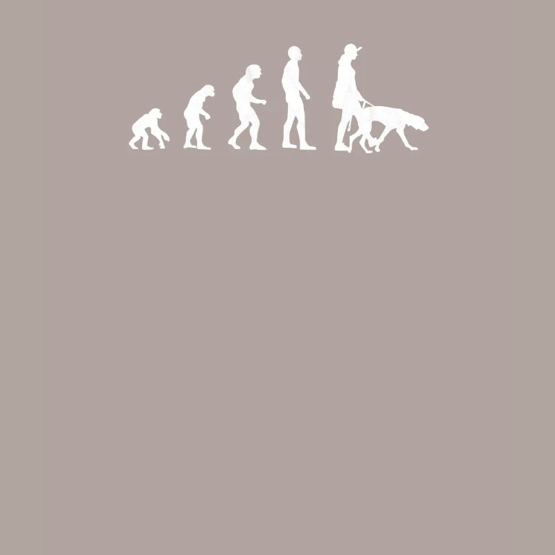 Vizsla Evolution