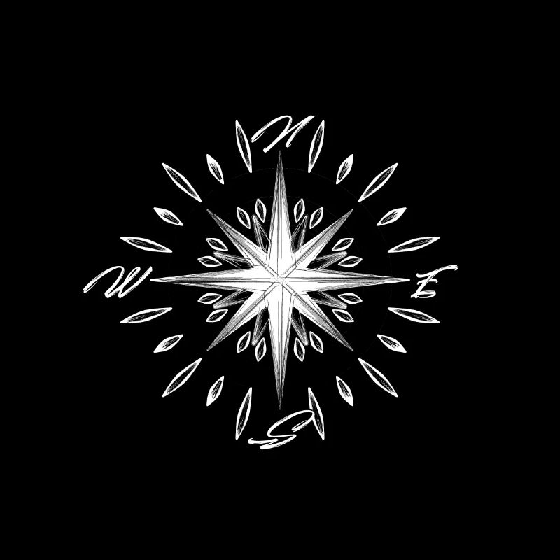 Nautical compass