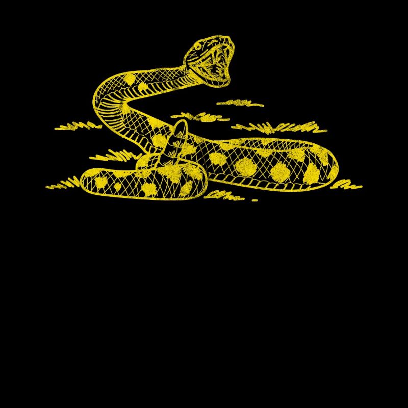 Serpent à sonnette Viper