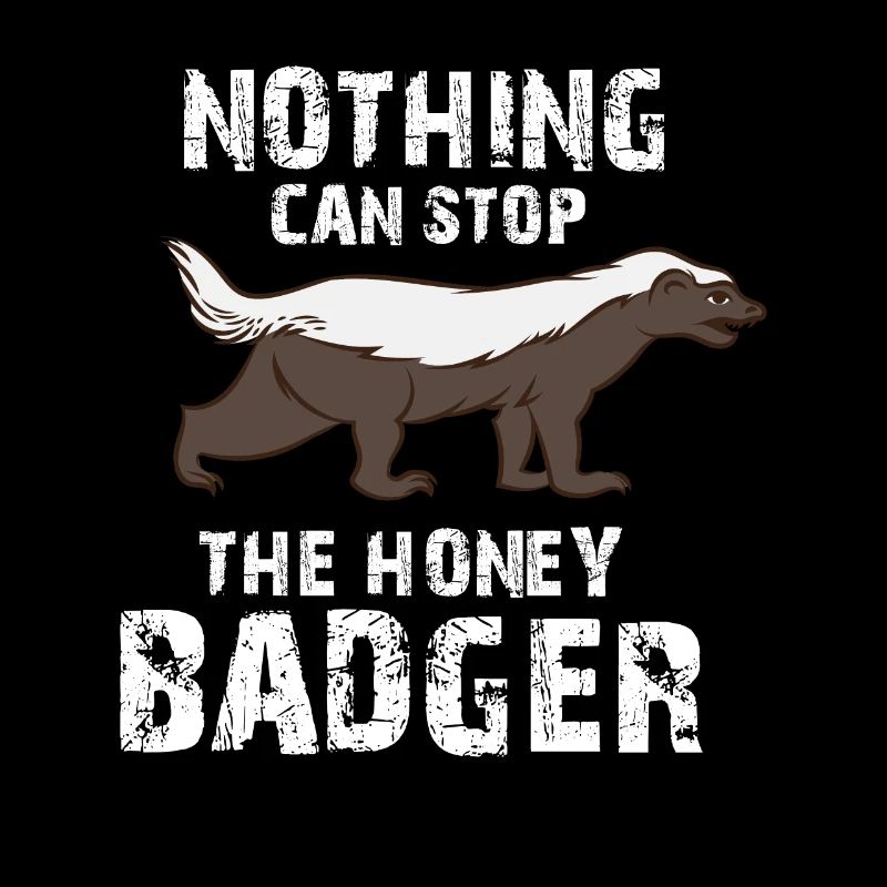 Nothing Can Stop The badger,, badger, badger Apparel, badger Gift