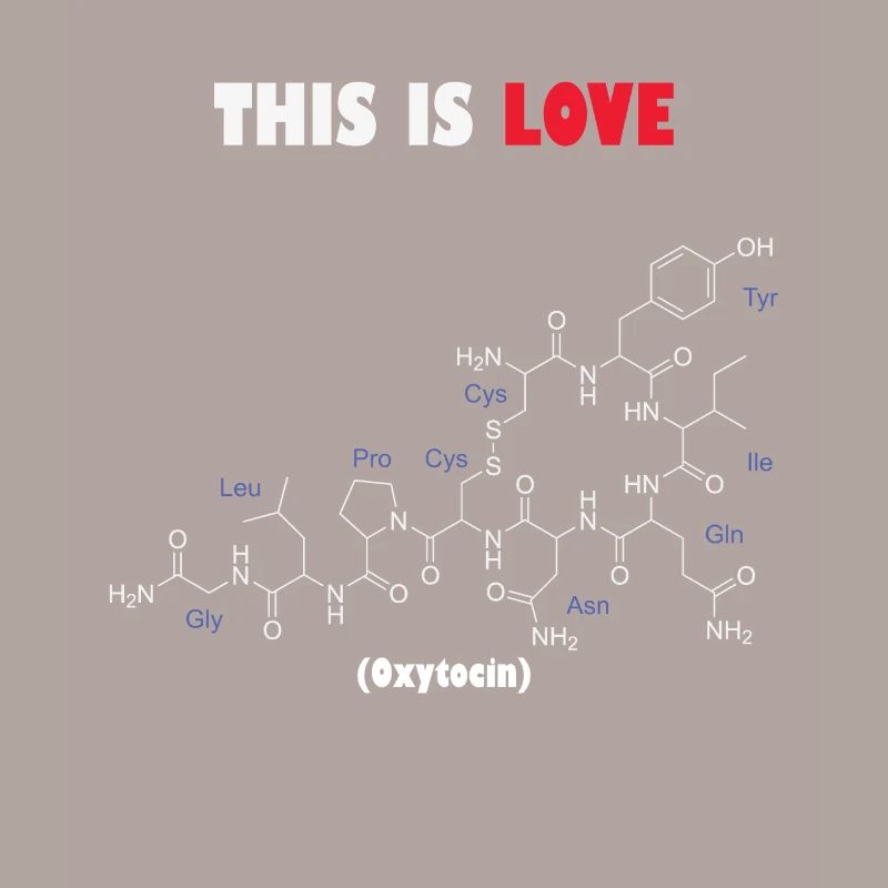 C’est la molécule d’ocytocine d’amour