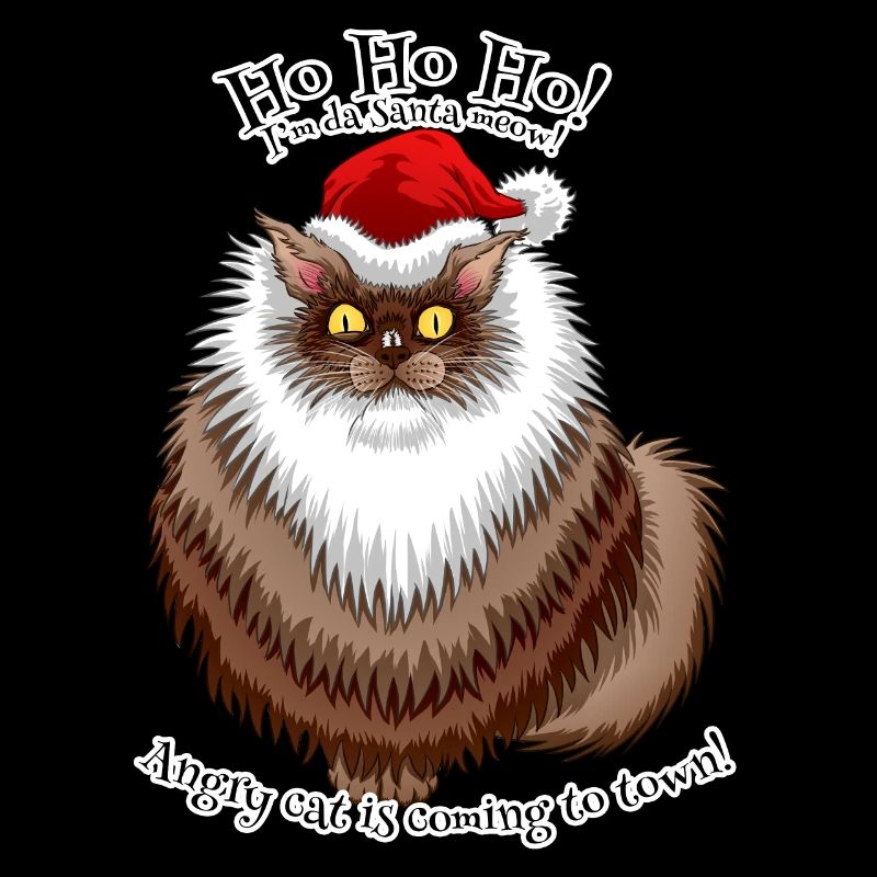 Colère, regarder, chat santa
