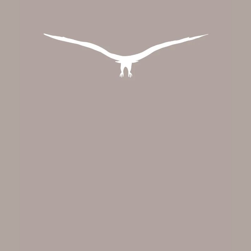 Eagle buzzard or hawk silhouette approaching