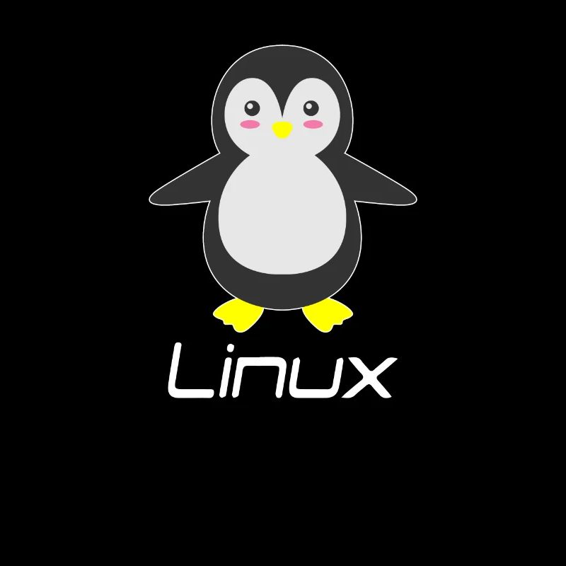 Geek Linux