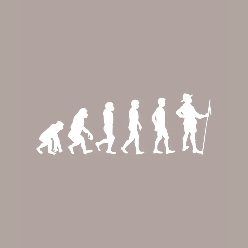 Évolution des scouts