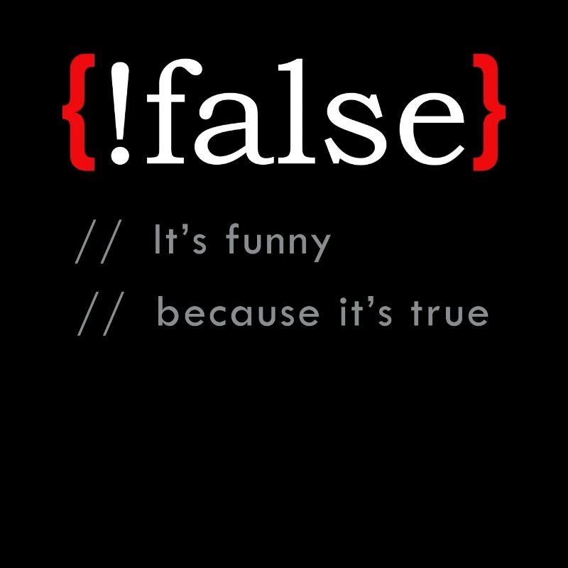 False It’s Funny Because It's True Funny Programmi