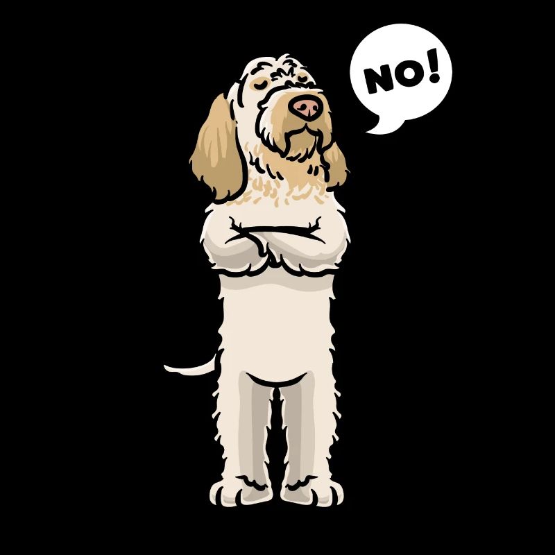 Spinone italiano Cane
