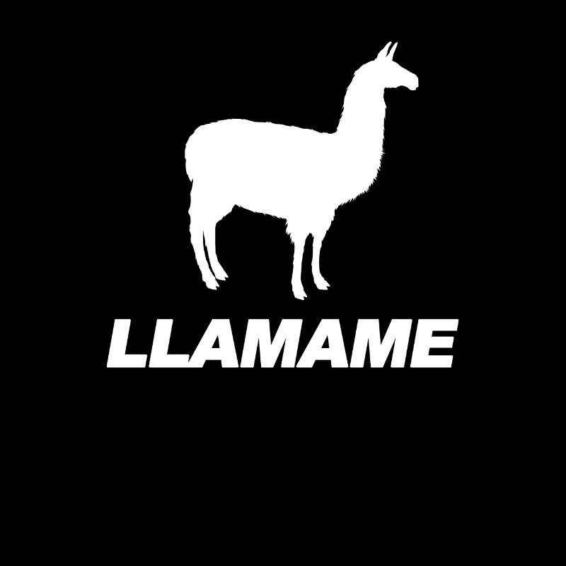 Jeu de mots espagnol drôle Lama